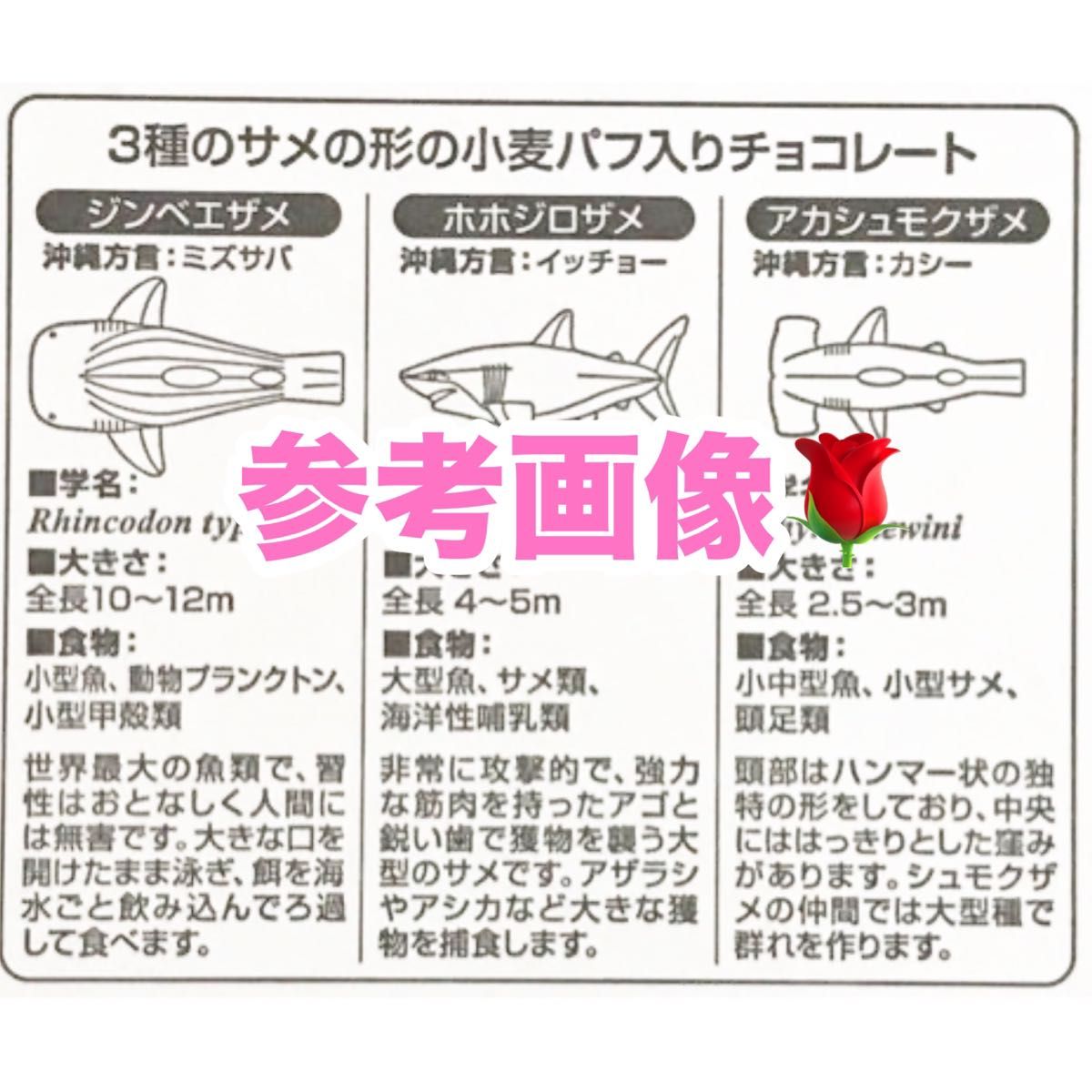 平塚製菓の工場直売品のシャークスチョコレート の大容量　訳あり　アウトレット品