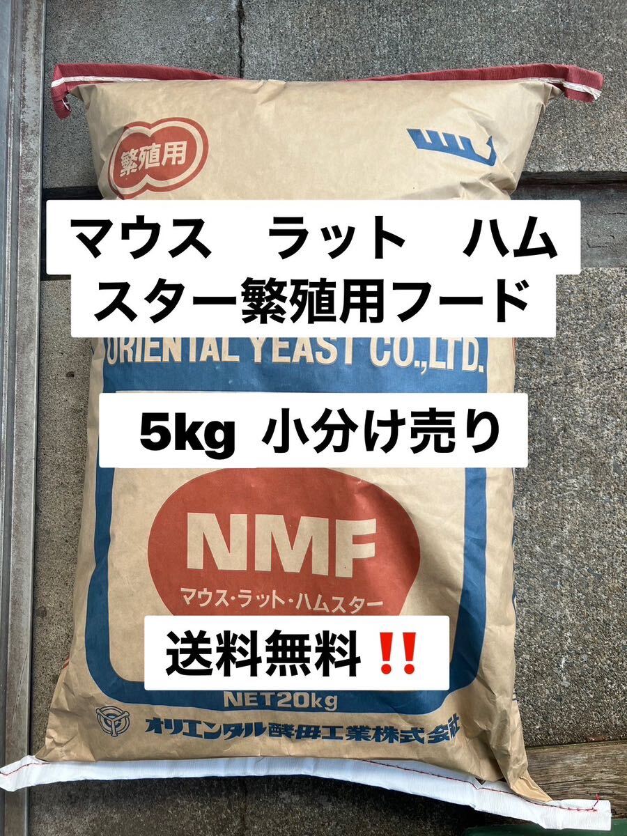 オリエンタル酵母　NMF 5キロ　マウス、ラット、ハムスター繁殖用飼料　餌　　_画像1