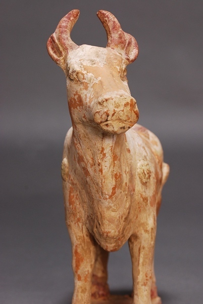 .. cow cow ... China ceramics and porcelain Tang era north . era | search : China old fee .. Mai .... ash . horse Tang three .