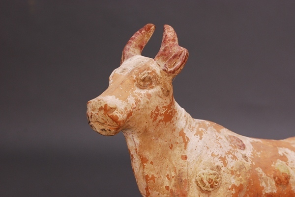 .. cow cow ... China ceramics and porcelain Tang era north . era | search : China old fee .. Mai .... ash . horse Tang three .