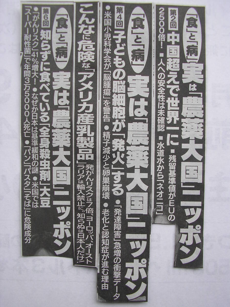 訳あり2023年国産無農薬の落花生種子20g令和5年国産ラッカセイ大粒らっかせい種子20グラム遺伝子組み換え無し落花生の種_人の身体は食べた物から出来てます