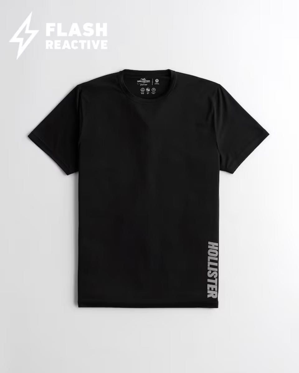 新品 正規品 ホリスター スポーツニット ロゴグラフィックTシャツ B