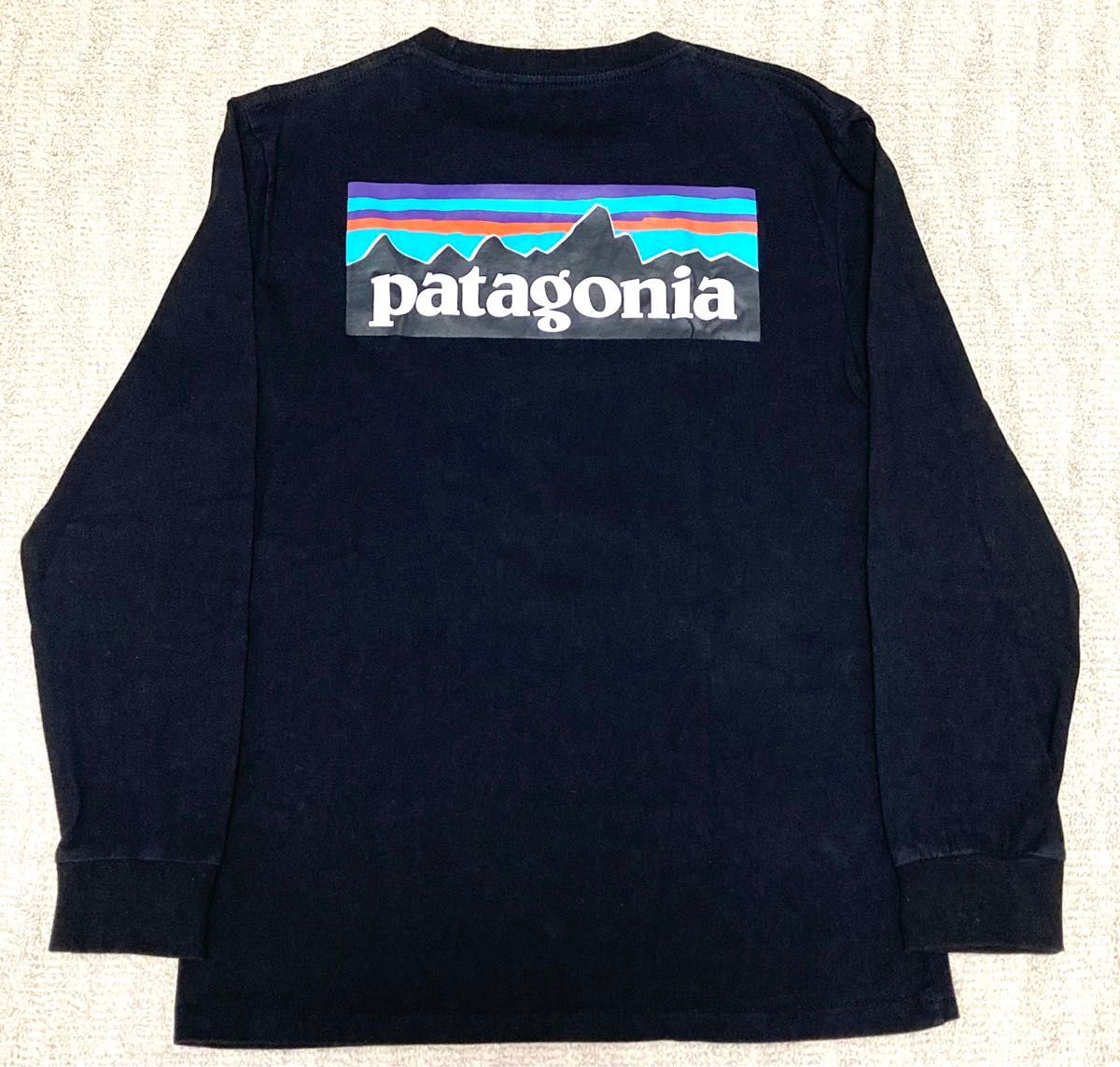patagonia 長袖Tシャツ