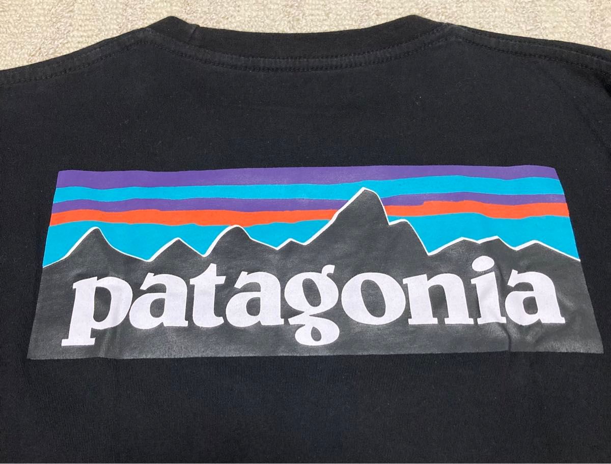 patagonia 長袖Tシャツ