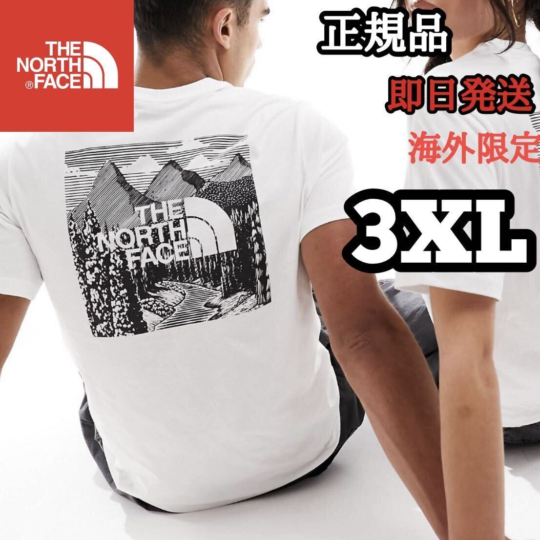 The North Face ノースフェイス メンズ Tシャツ 半袖 大きい ビックサイズ コットン スクエア アウトドア ホワイト 白 XXL 3XL 海外限定 白_画像1