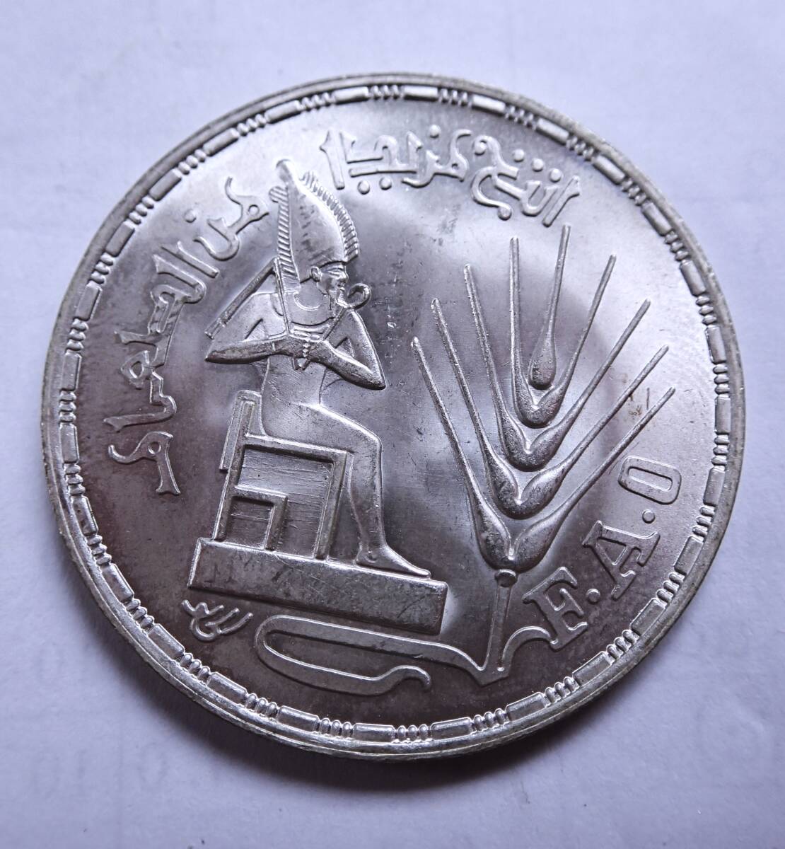 未使用.1976年.エジプト.1ポンド第4次F.A.O.記念銀貨.720銀.重さ15.0g直径3.8㎝.大型銀貨.アンティークコイン.シルバーの画像2
