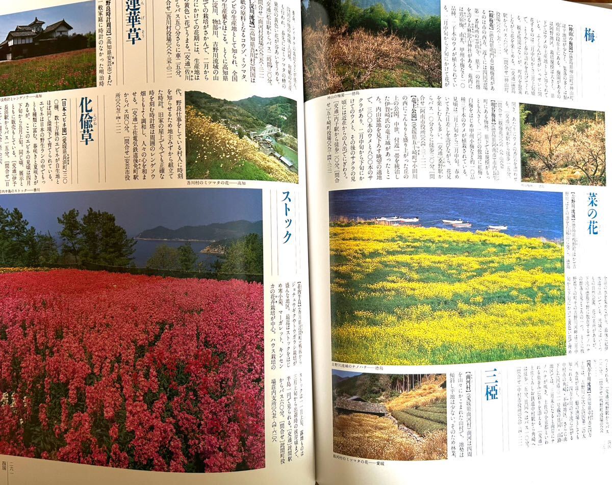 初版　四季花ごよみ　春夏秋冬　別巻　ふるさとの花　5冊セット　講談社_画像10