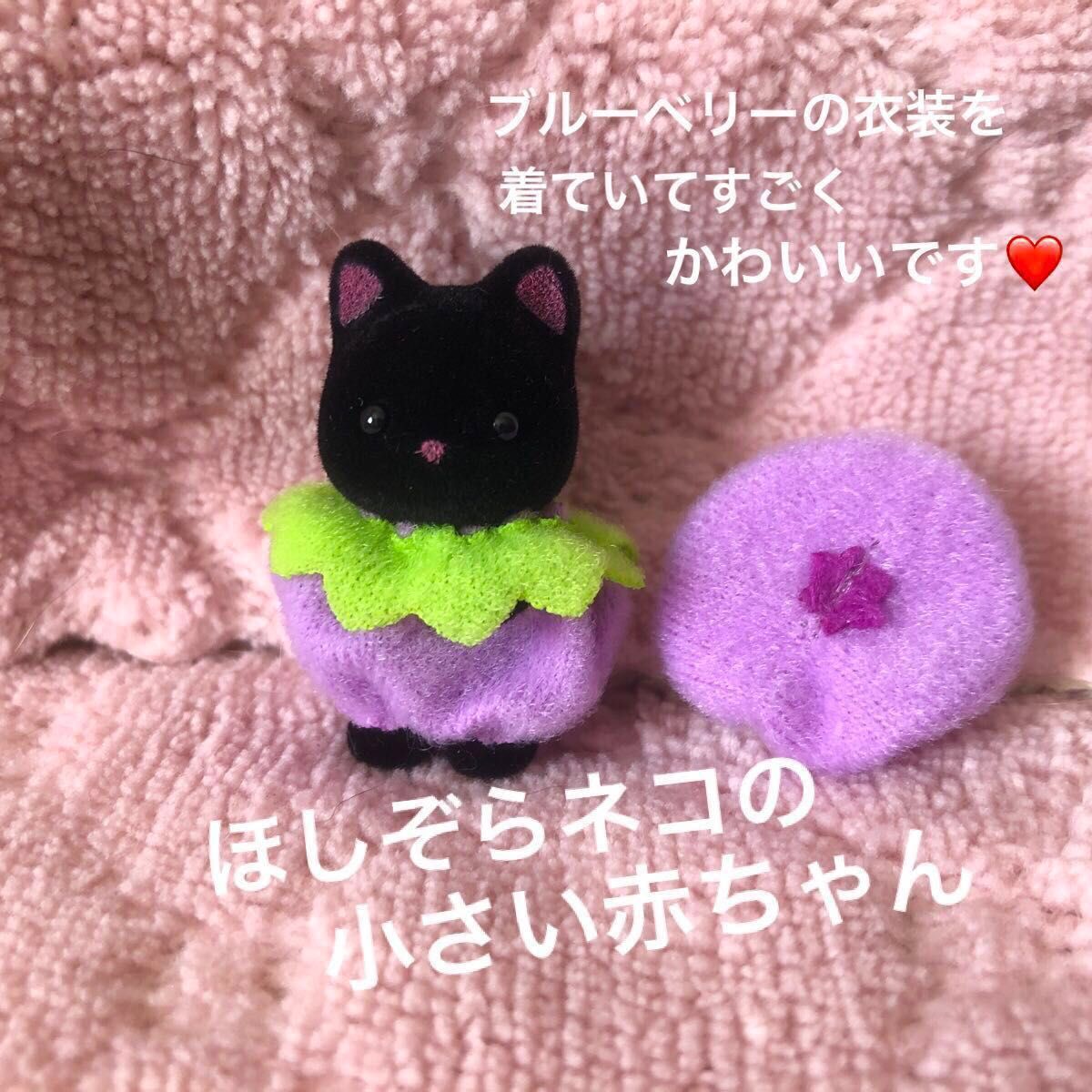 ほしぞらねこの小さい赤ちゃん ブルーベリーコスチューム ほしぞらねこの小さい赤ちゃん ブルーベリーコスチューム