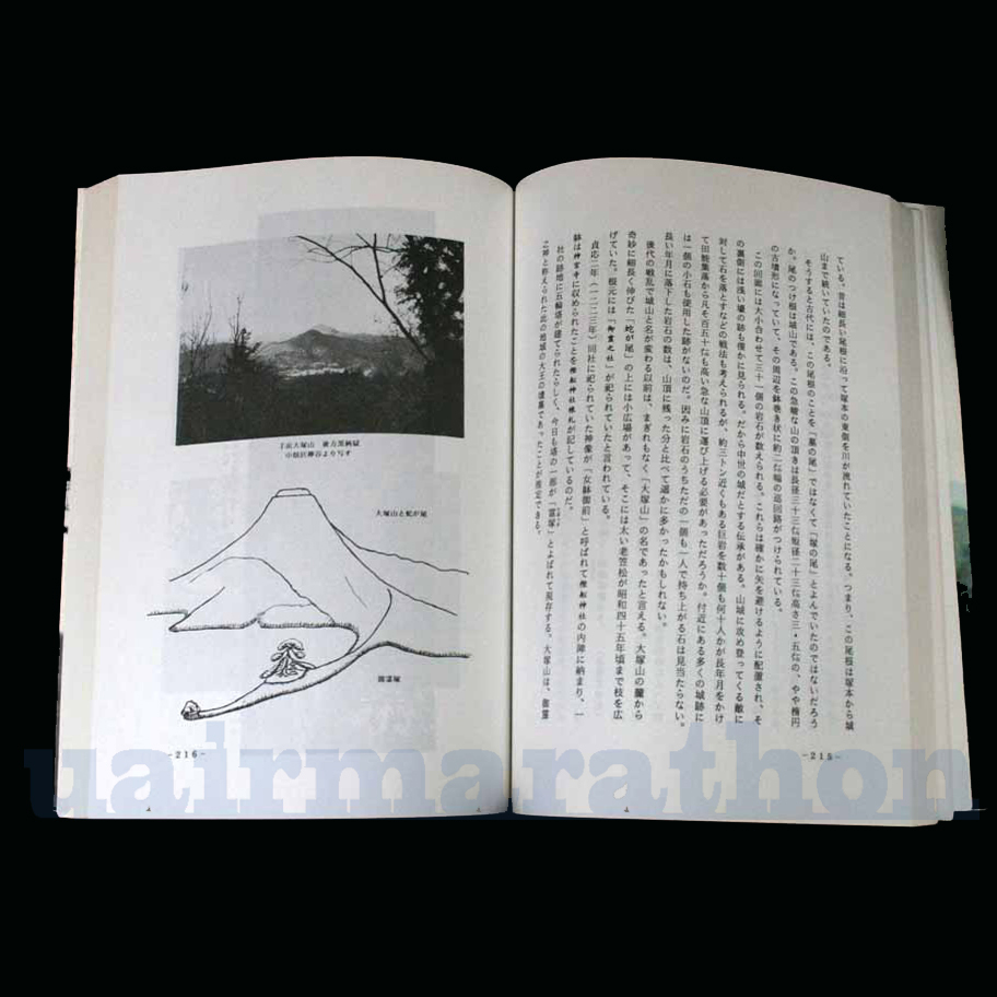 【通販激安】 高天原(邪馬台国)と天孫降臨 丹波の古代史 焼畑から稲作へ 山口 日本史