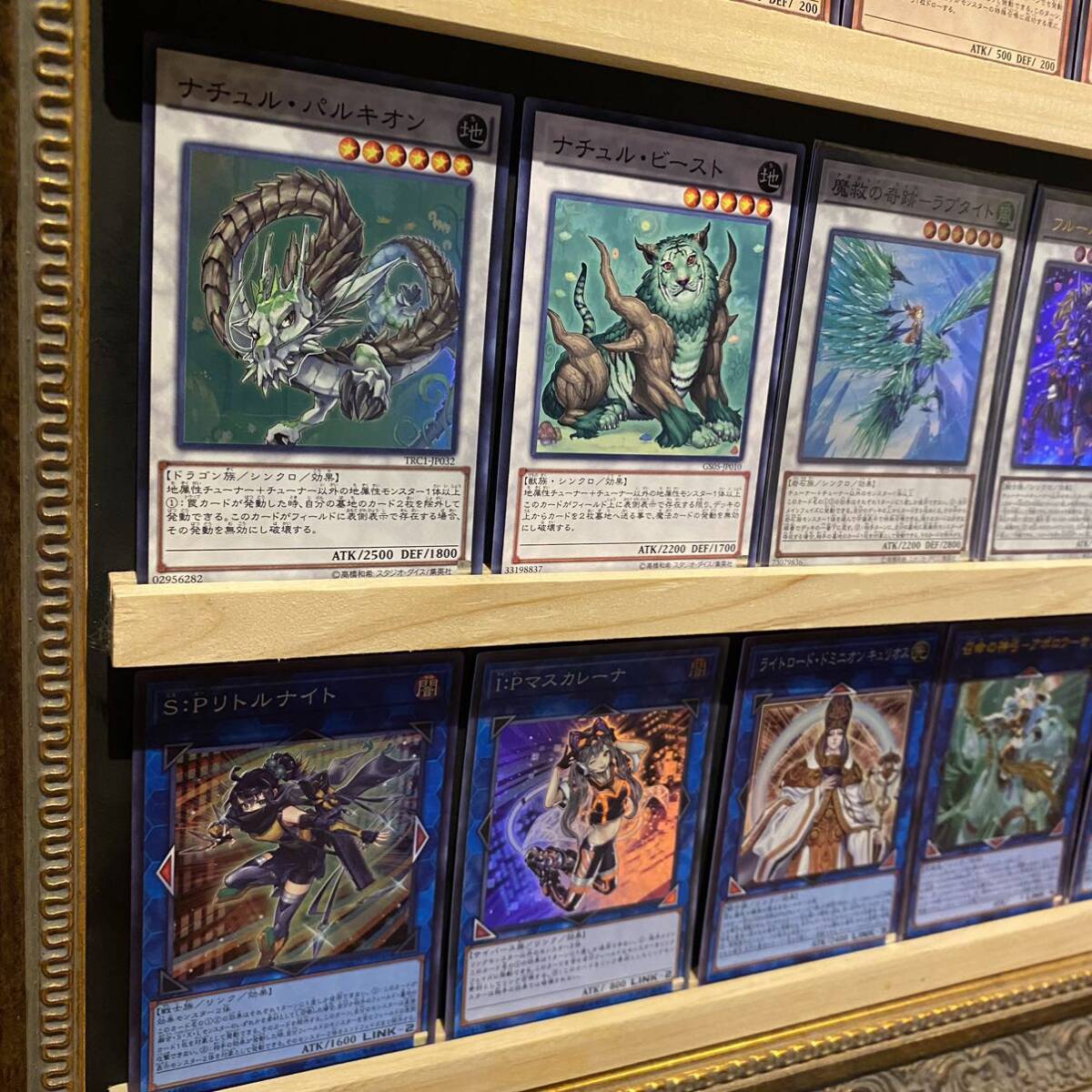 即日発送 大会用 千年魔救 アダマシア デッキ 遊戯王 千年の眠り 即日発送 大会用 千年魔救 アダマシア デッキ 遊戯王 千年の眠り
