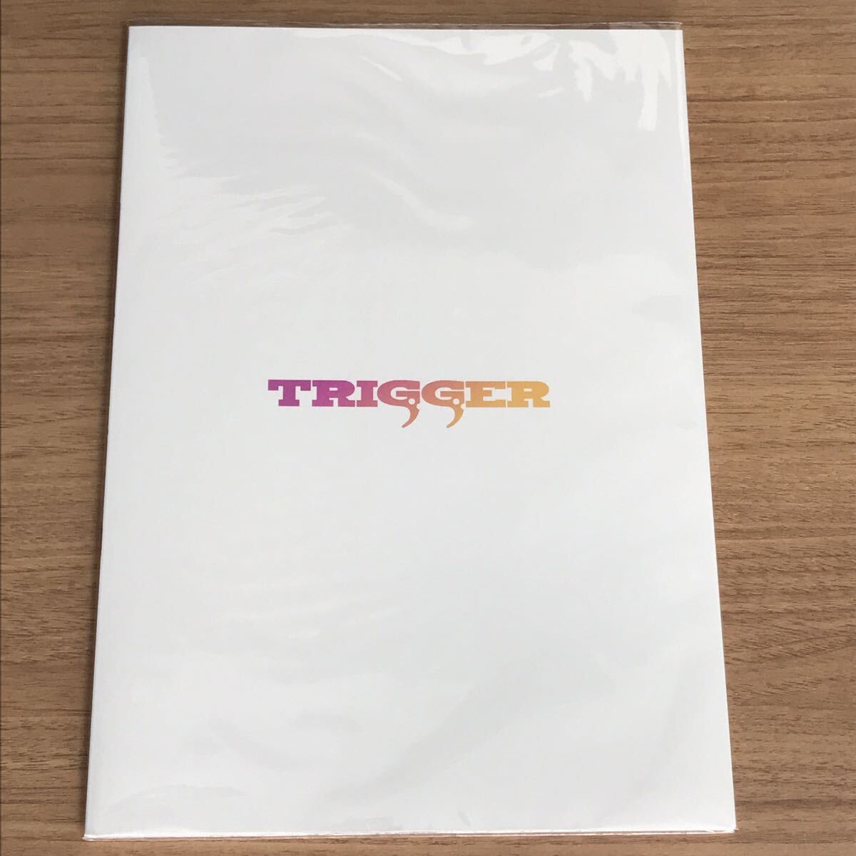 プロメア メモリアルブック 「紙、同然。」 TRIGGER_画像2