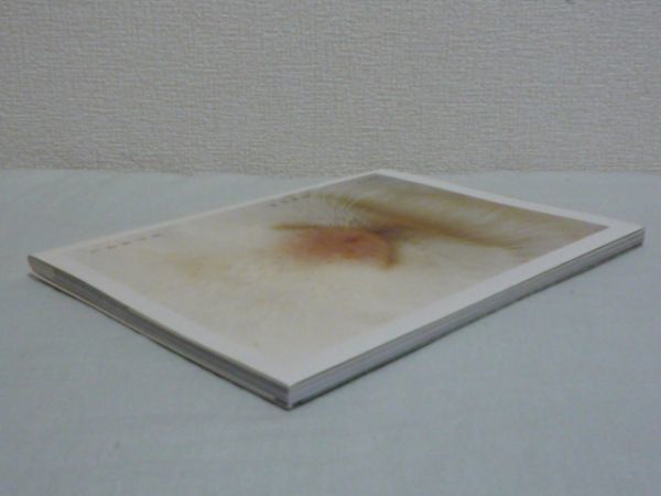 ヤフオク うさぎじま 松本典子 写真集 ウサギ 大久野島 沖 ヤフオク うさぎじま 松本典子 写真集 ウサギ 大久野島 沖