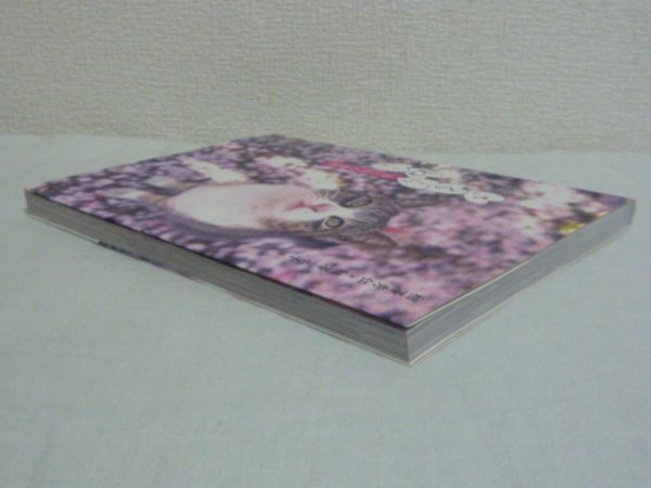さくらねこ 猫と桜の物語●相澤秀仁,相澤京子★ネコ写真集◆_画像2