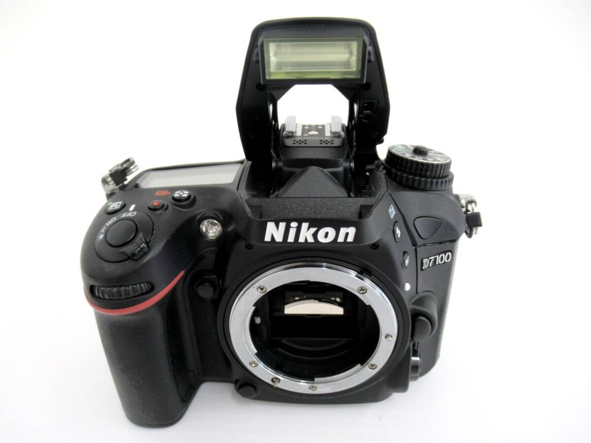 【Nikon/ニコン】辰②98//D7100_画像10