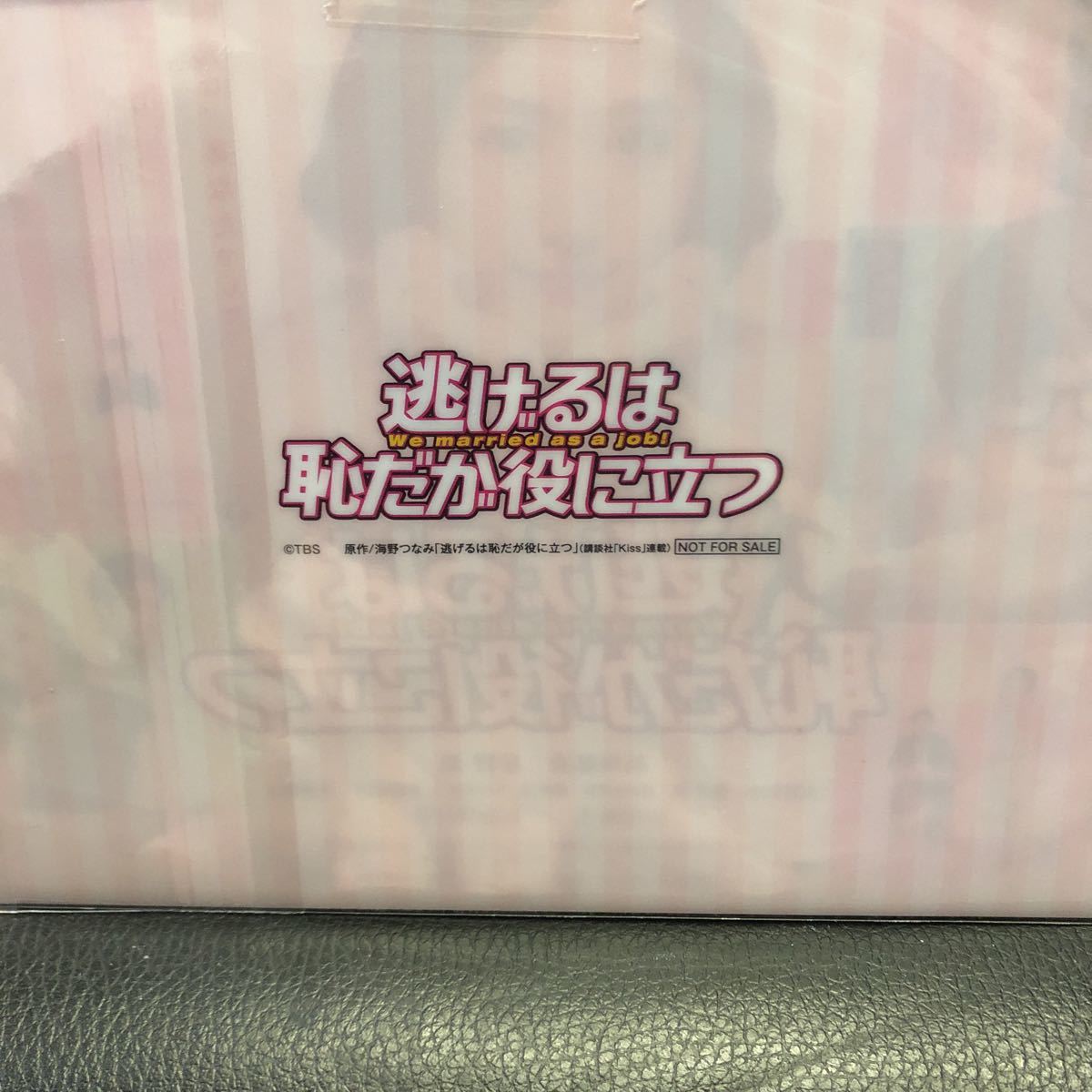 未使用★星野源/新垣結衣「逃げるは恥だが役に立つ」ミニクリアファイル★石田ゆり子_画像3