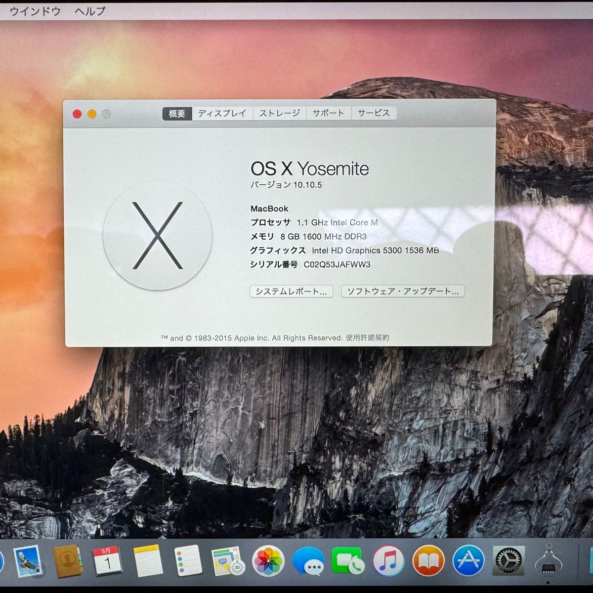 【りょうた様専用】MacBook 2015 Early MF855J/A 中古　使用感有り Apple