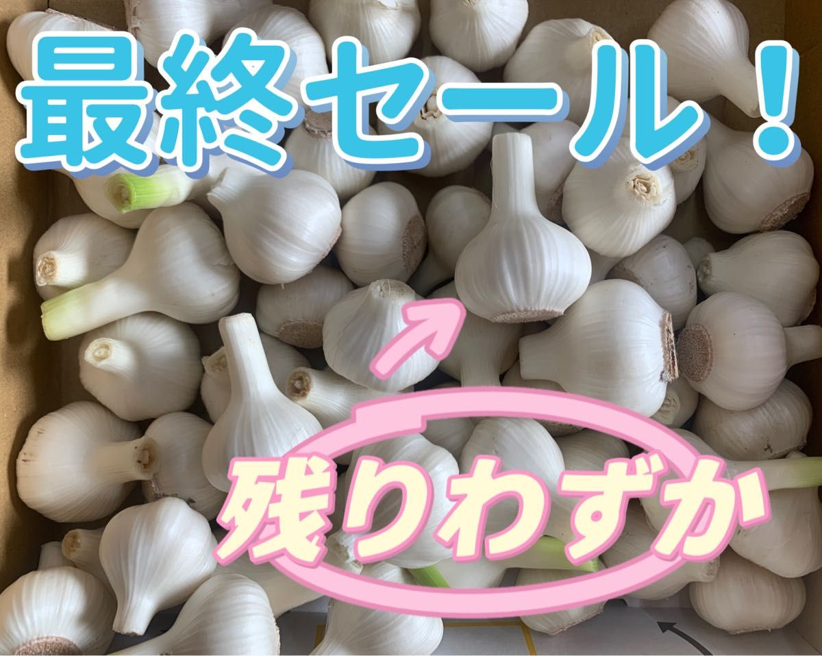 無農薬生ニンニクSサイズ1KG