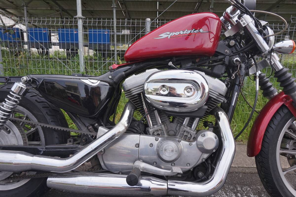  Harley красный Harley XL883 базовая машина старт только проверка ..H16 год машина кабина машина документы Chiba префектура departure 