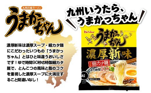 激安　10食分　数量限定　新登場　うまかっちゃん　濃厚新味　豚骨　九州博多　庶民の豚骨 全国送料無料511_画像2