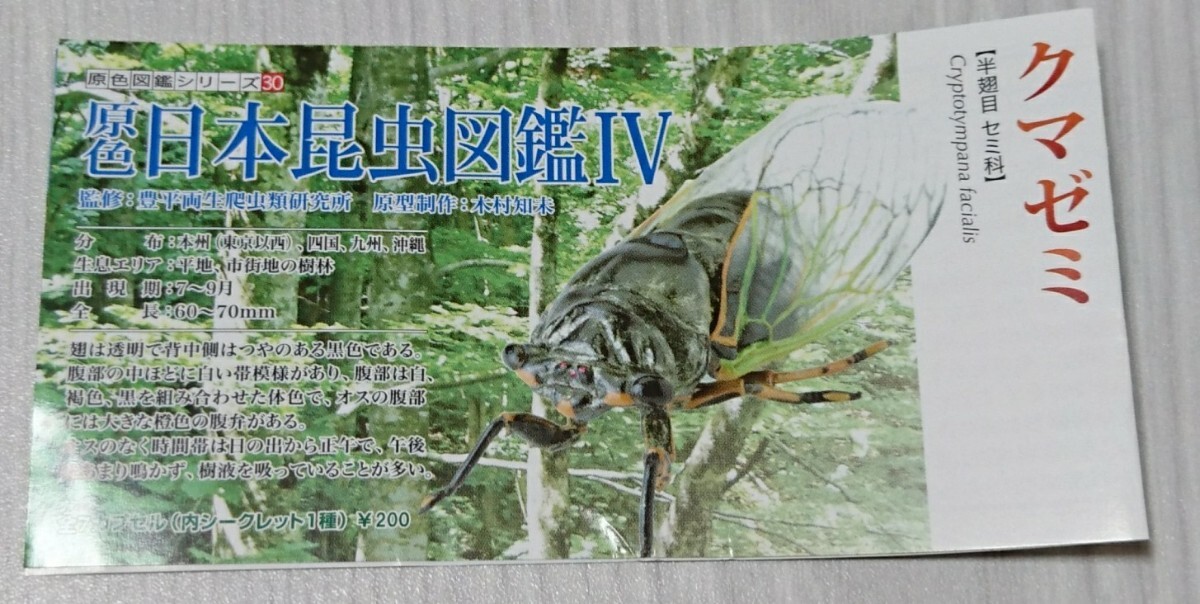  медведь zemi. цвет Япония насекомое иллюстрированная книга Ⅳ Eugene Yujin не собран нераспечатанный описание документы 