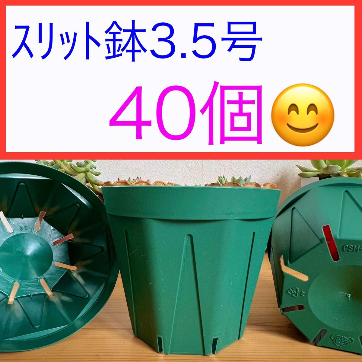 A④②  カネヤｽﾘｯﾄ鉢【3.5号】40個ｾｯﾄ★ﾓｽｸﾞﾘｰﾝ