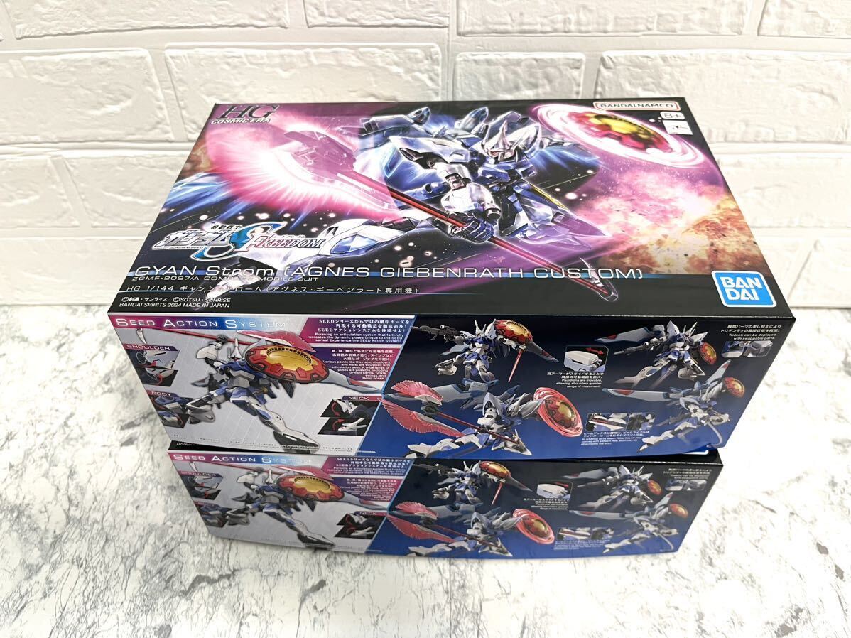 新品 未開封 HG 1/144 ギャンシュトローム（アグネス・ギーベンラート専用機）2体セット 機動戦士ガンダムSEED FREEDOM hguc mg rg _画像2