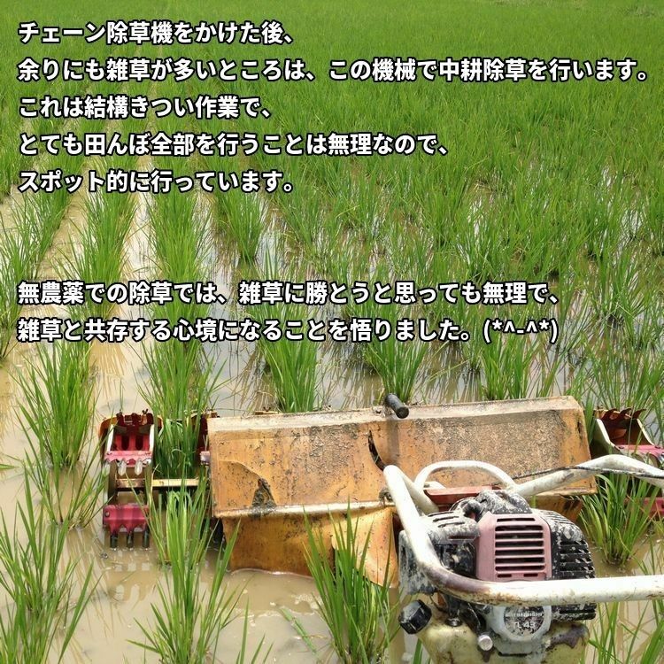 令和5年産【選べる無農薬米】無農薬栽培米 [玄米] 10kg