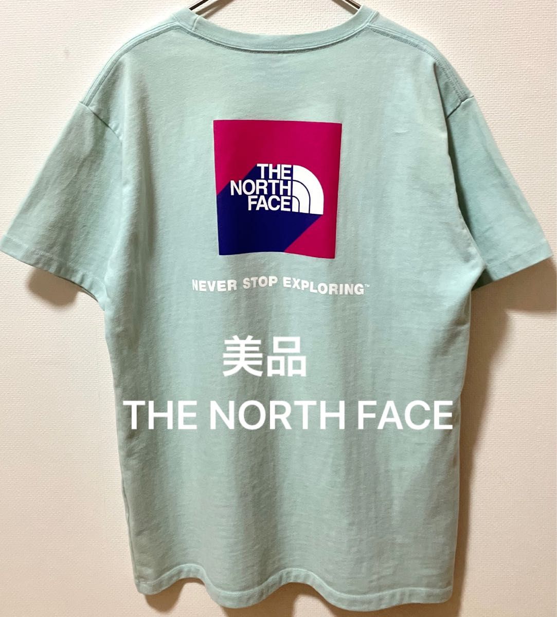 美品　THE NORTH FACE ノースフェイス ビッグブランドロゴヘビーウェイトTシャツ  バックプリント