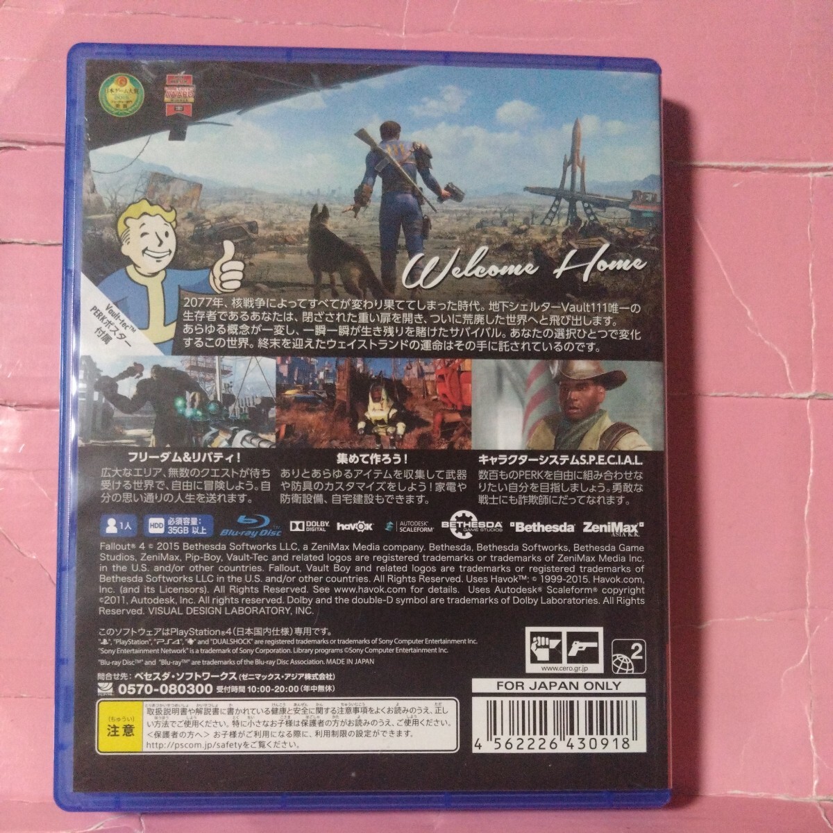 【PS4】 Fallout4 [通常版]　フォールアウト4_画像2