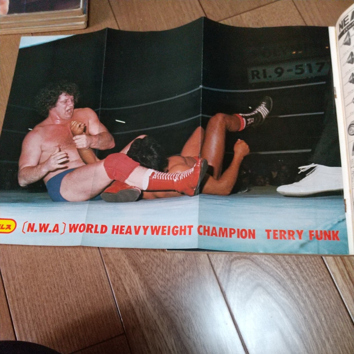 ベースボールマガジン社 プロレス1976年６月号馬場猪木_画像2