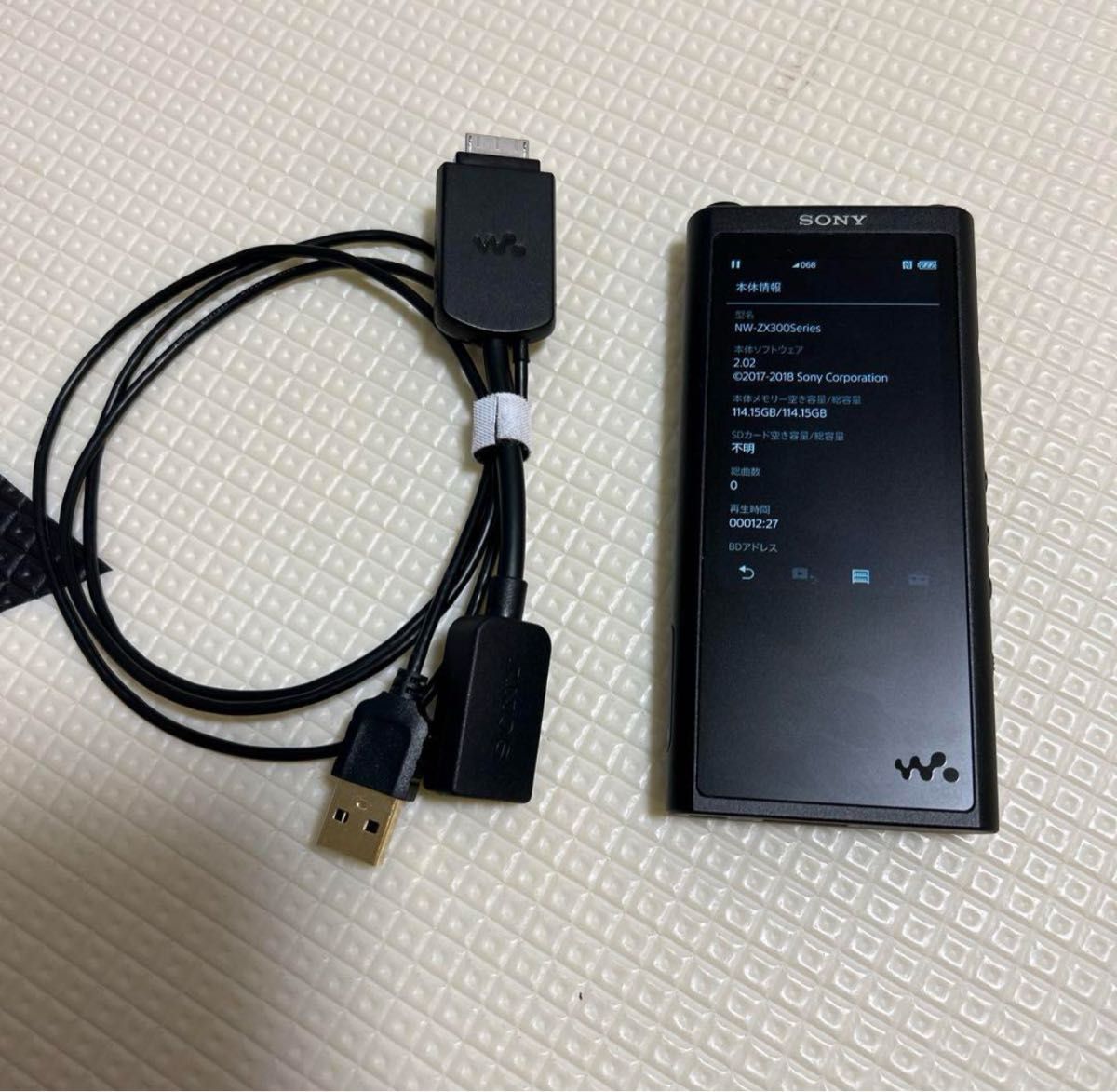 ソニー ウォークマン NW-ZX300G 128GB