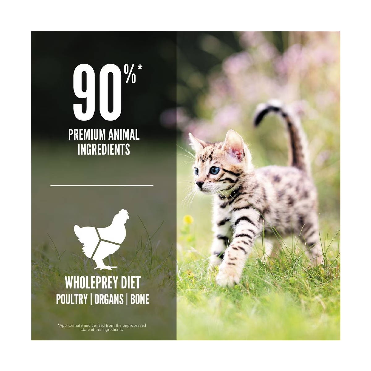  Origin kitun cat food 1.8kg - America production -