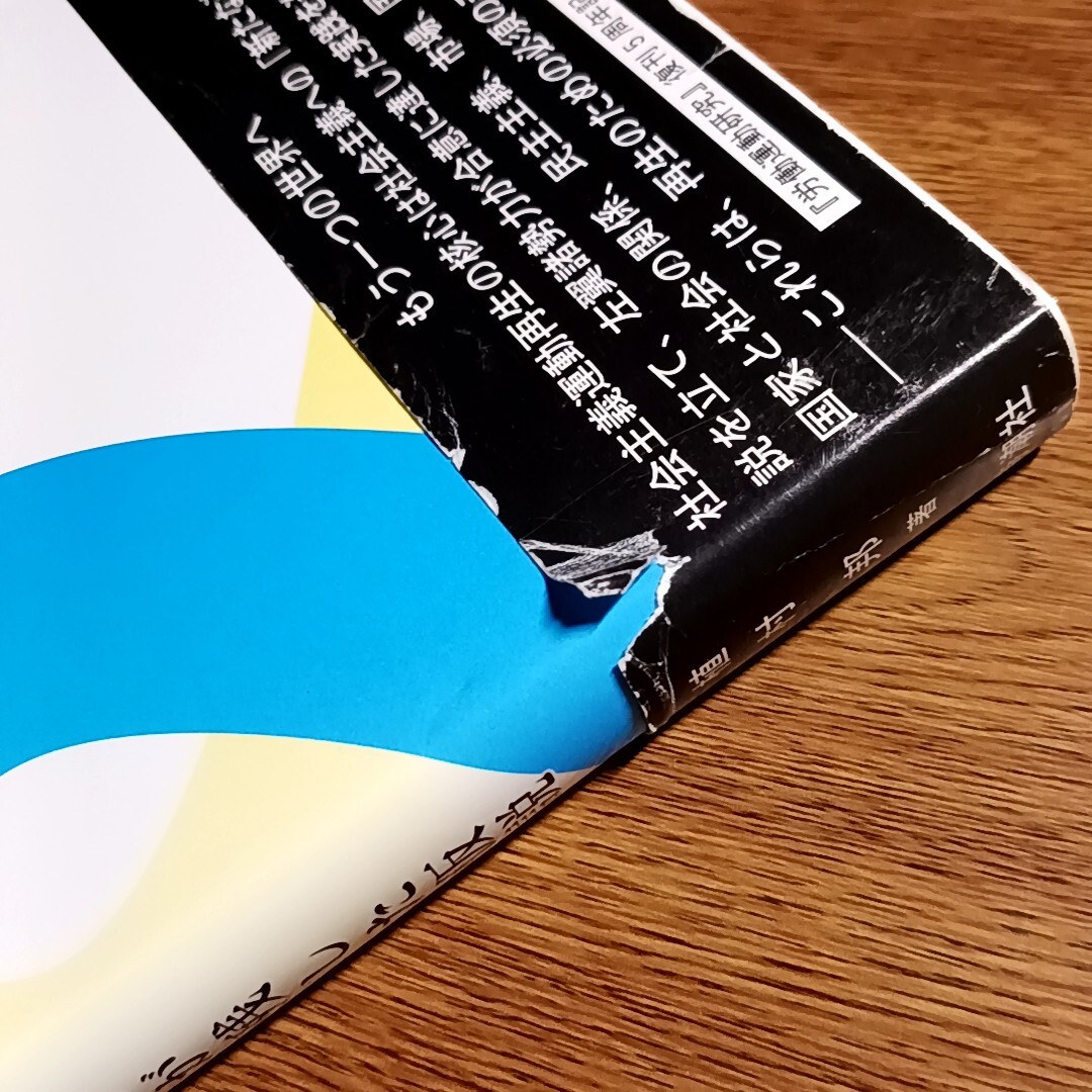 20世紀社会主義運動が残した仮説　植村 邦／著　単行本　思想／政治／社会／運動