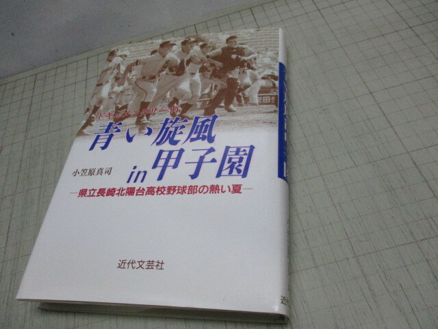 青い旋風in甲子園 県立長崎北陽台高校野球部の熱い夏 甲子園ベスト8 平成8年初版 _画像1