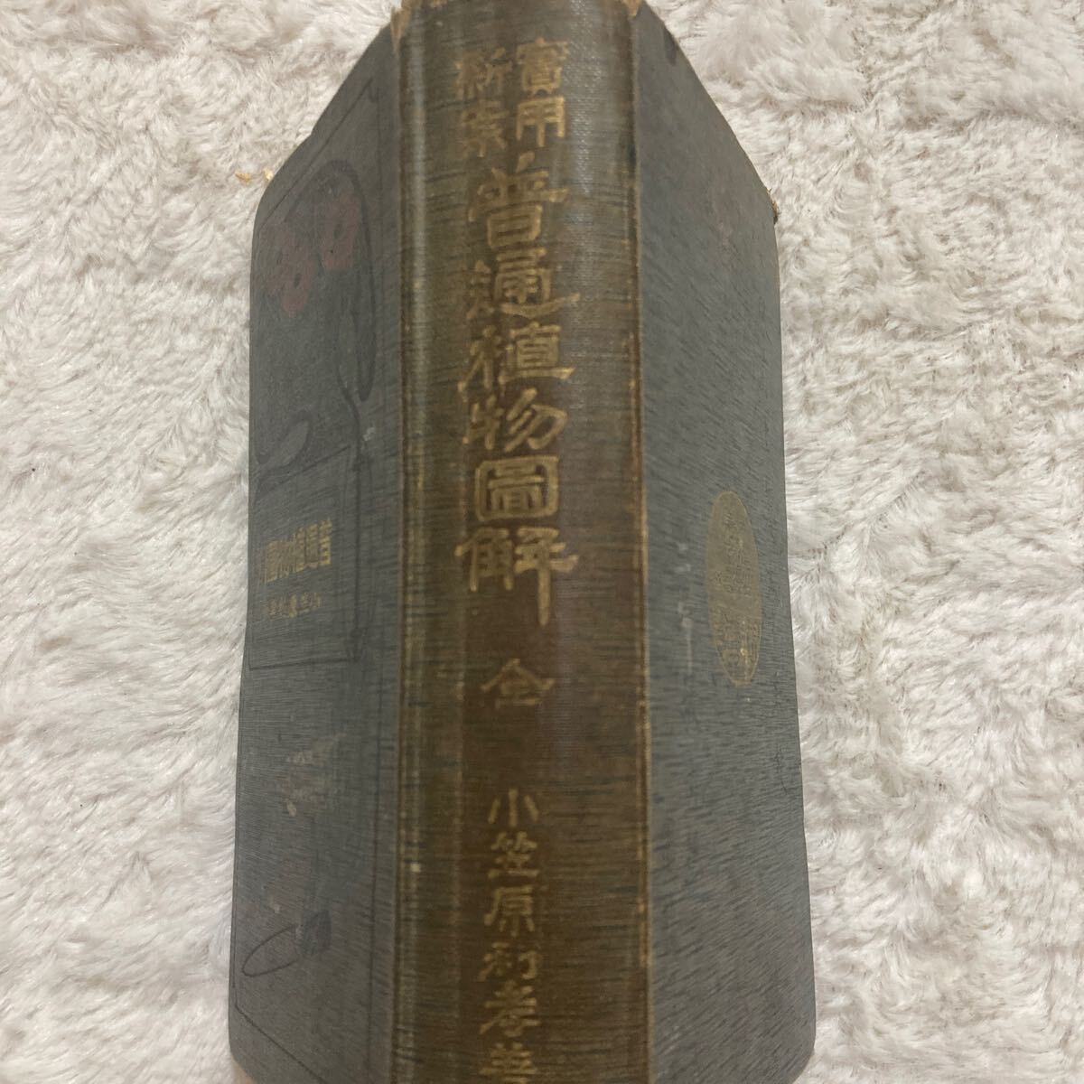 の 人気アイテムランキング 初版/明治42年/稀観本」小笠原利孝『実用新案 普通植物図解』虎谷誠 野草、植物