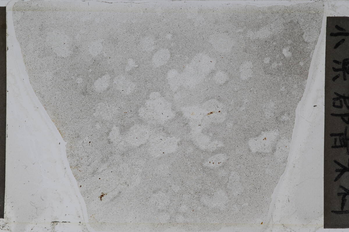  поляризованный свет микроскоп для pre pala-to скальная порода незначительный одна сторона . дождь камень 1 листов 