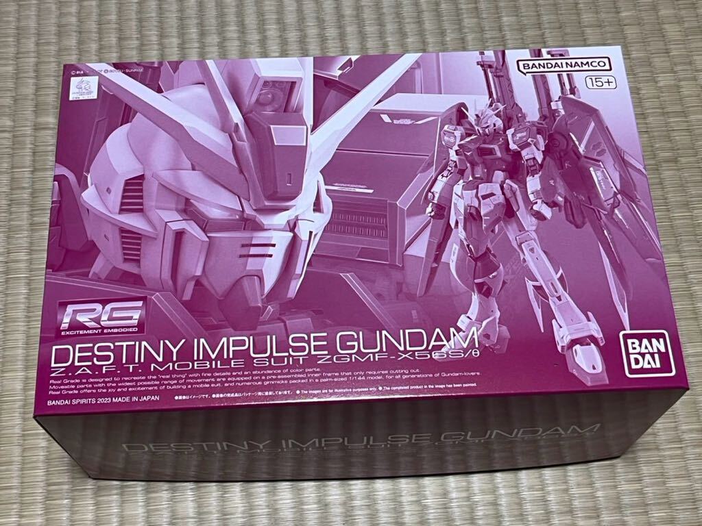 RG Destiny Impulse Gundam 