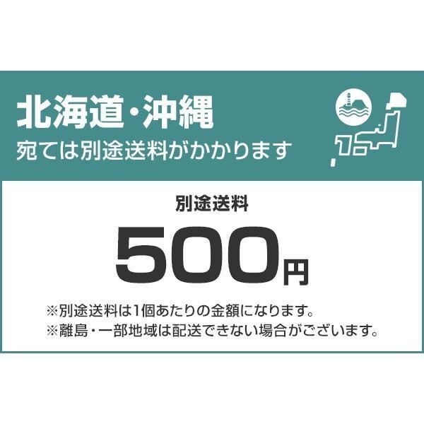 ミナト 芝刈り機 手押し式 LMA-300 (リール式5枚刃/刈幅300mm) [手動 芝刈機 モアー 草刈機] BD238_画像10