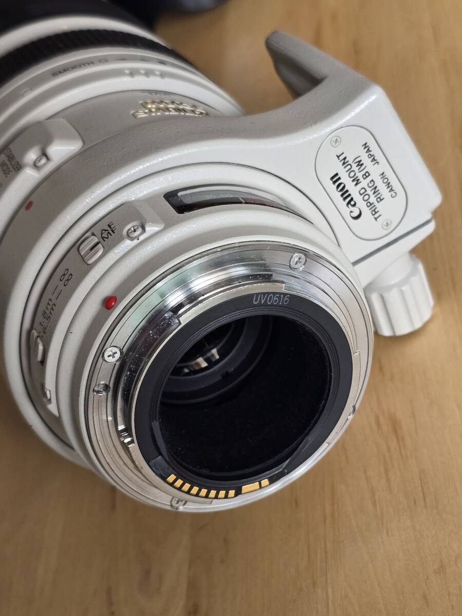 [良品] Canon EF100-400mm F4.5-5.6L IS USM / キヤノンEFマウント / フルサイズ_画像5