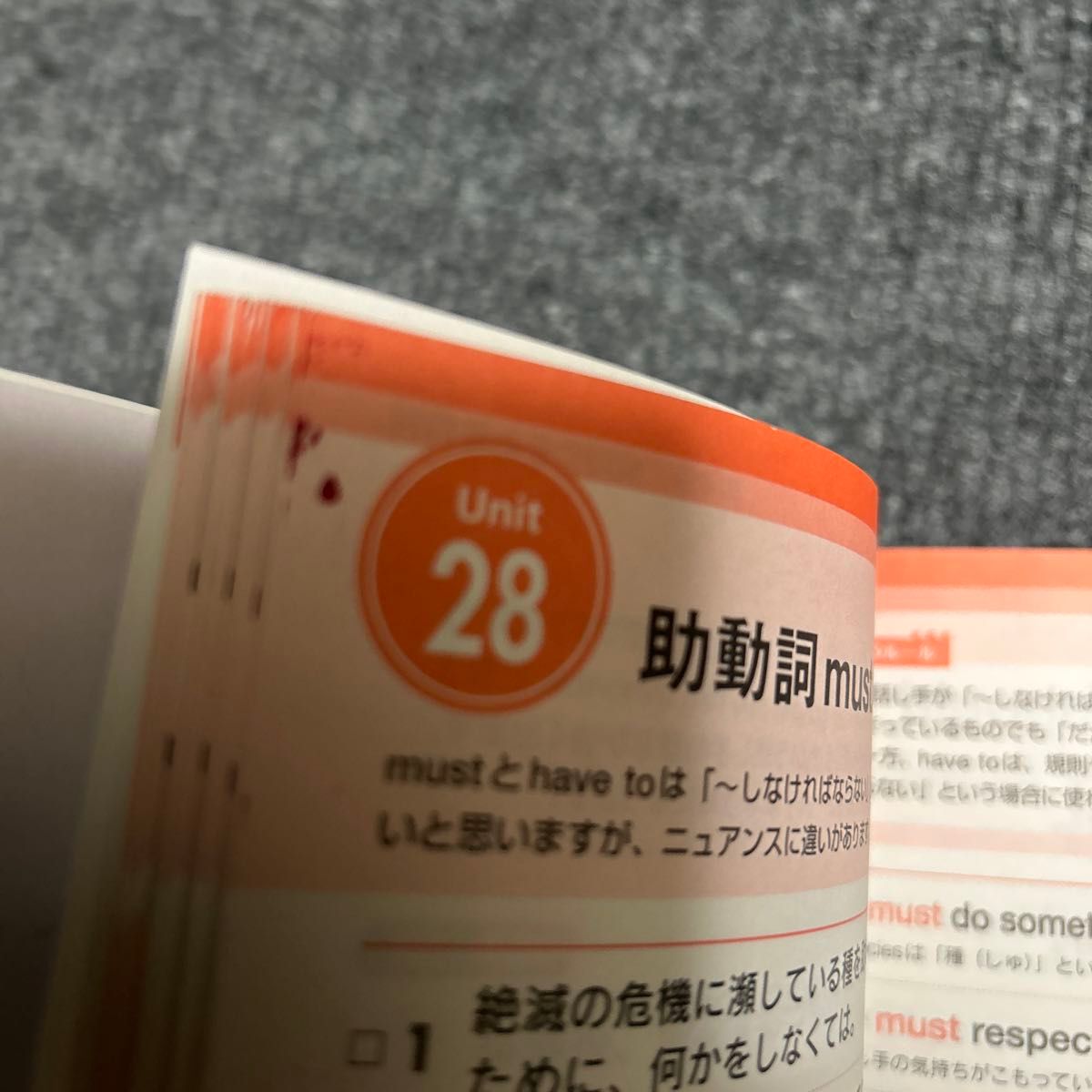 キーフレーズでがっちり身につける会話できる英文法大特訓　８０の文法ルールで話しまくれ！