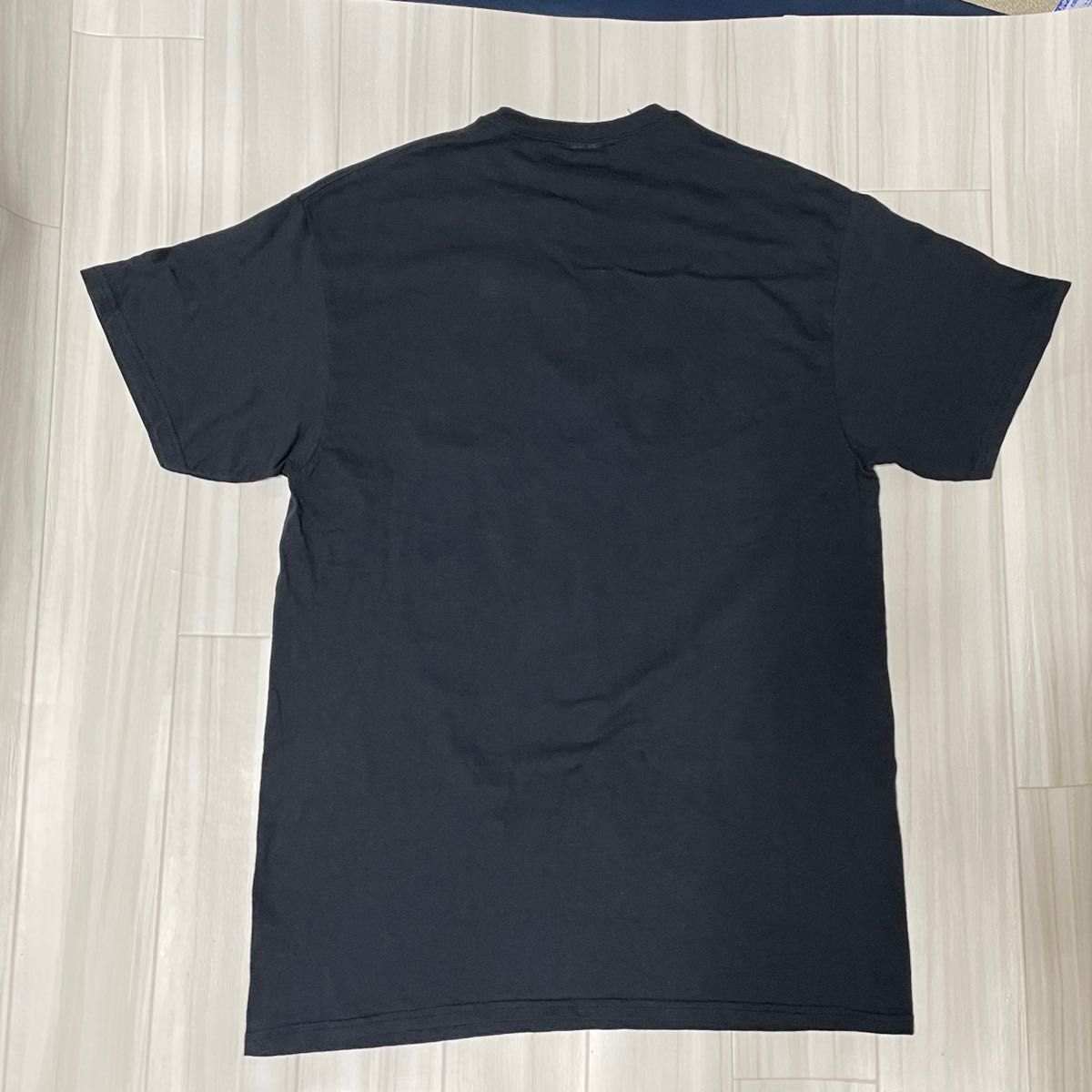 アメカジ Tシャツコットン100%。ユーズド品洗濯済。USサイズL、身幅約50、着丈約75。ロゴラメゴールド！ プリント ^_^