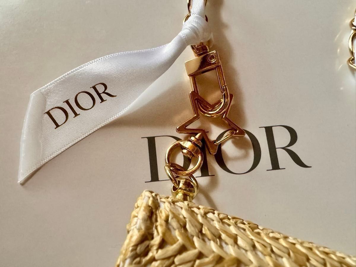 Dior ストローポーチ クラッチバッグ カゴポーチ ショルダー