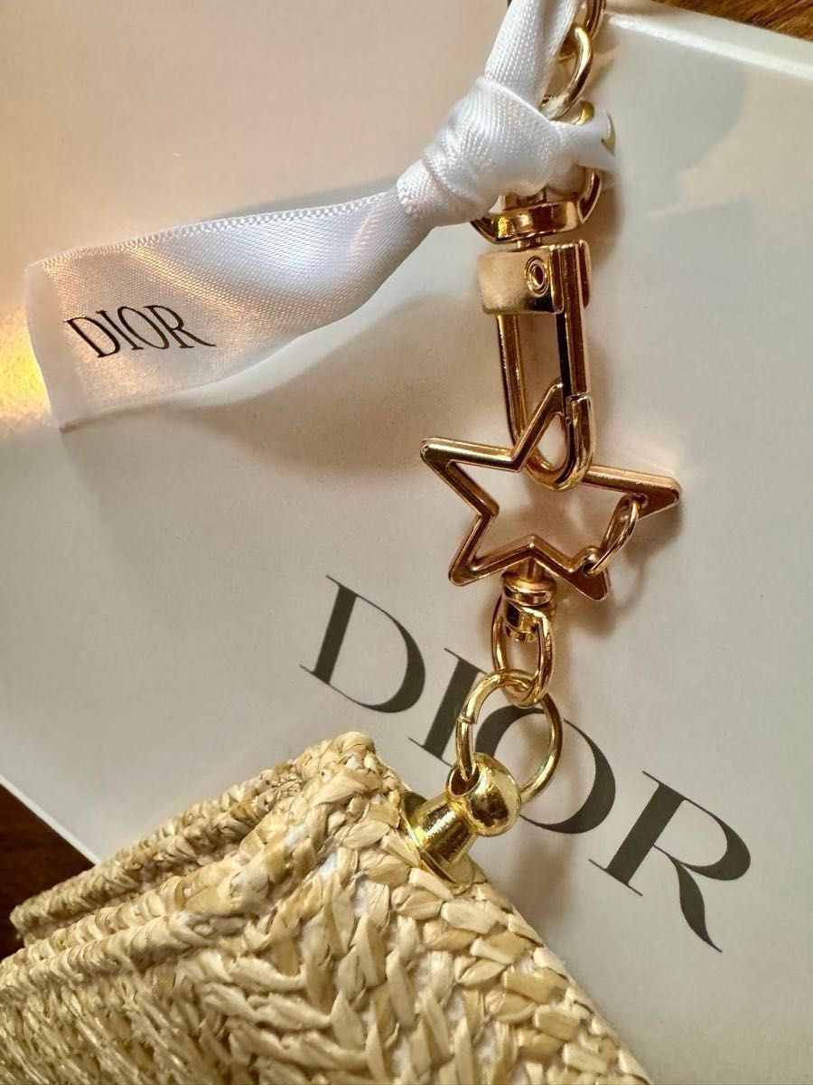 Dior ストローポーチ クラッチバッグ カゴポーチ ショルダー