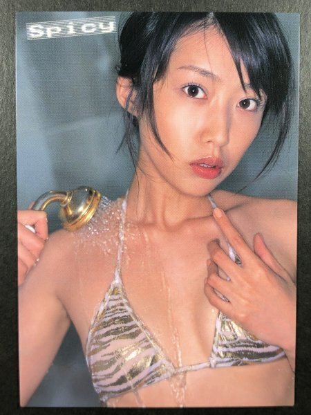 七生 奈央　さくら堂 2005 spicy　06　レースクイーン　水着 グラビア アイドル トレカ トレーディングカード　_画像1