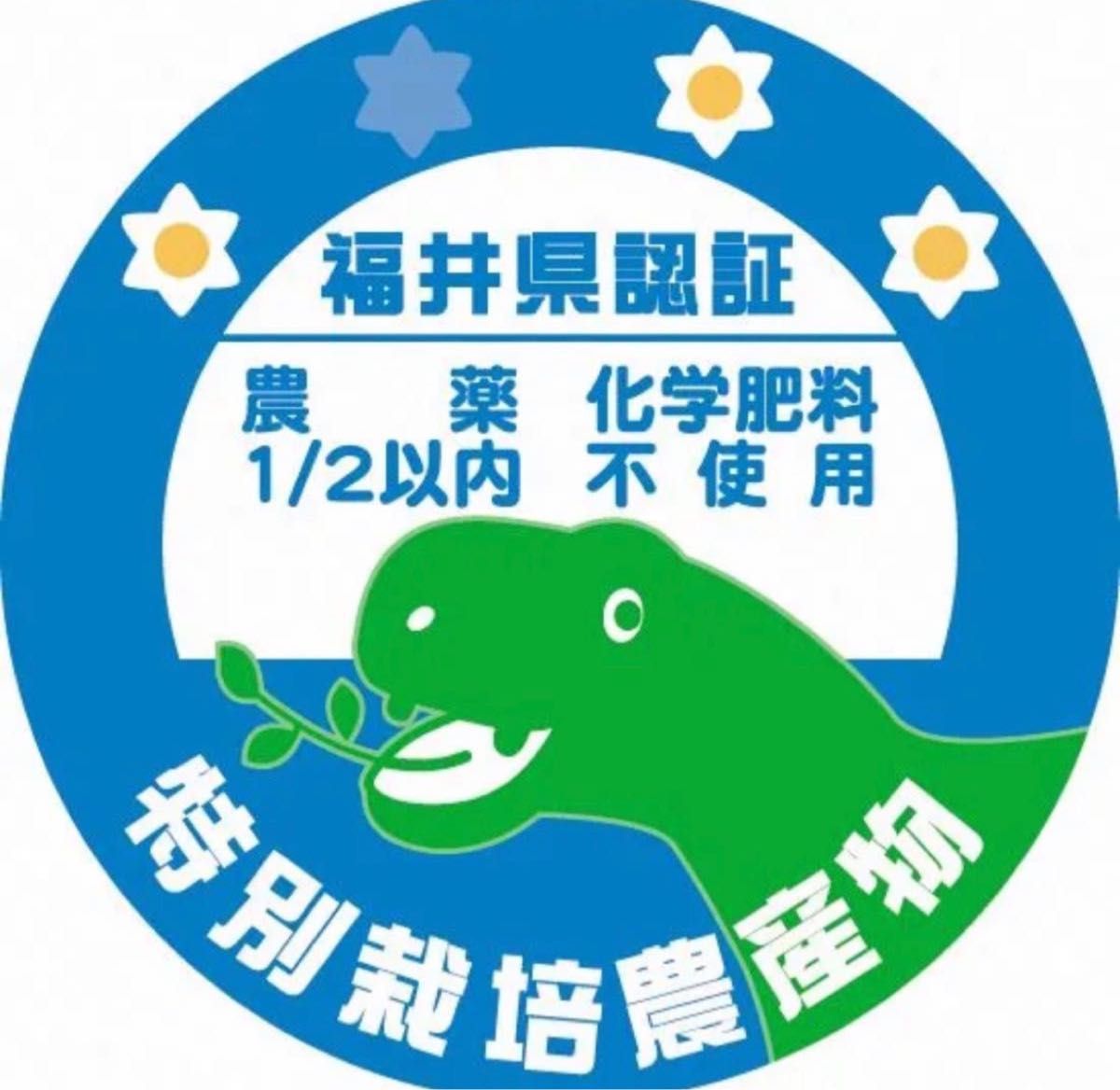 【令和５年産】福井県越前市産コシヒカリ（精米10キロ）福井県特別栽培米