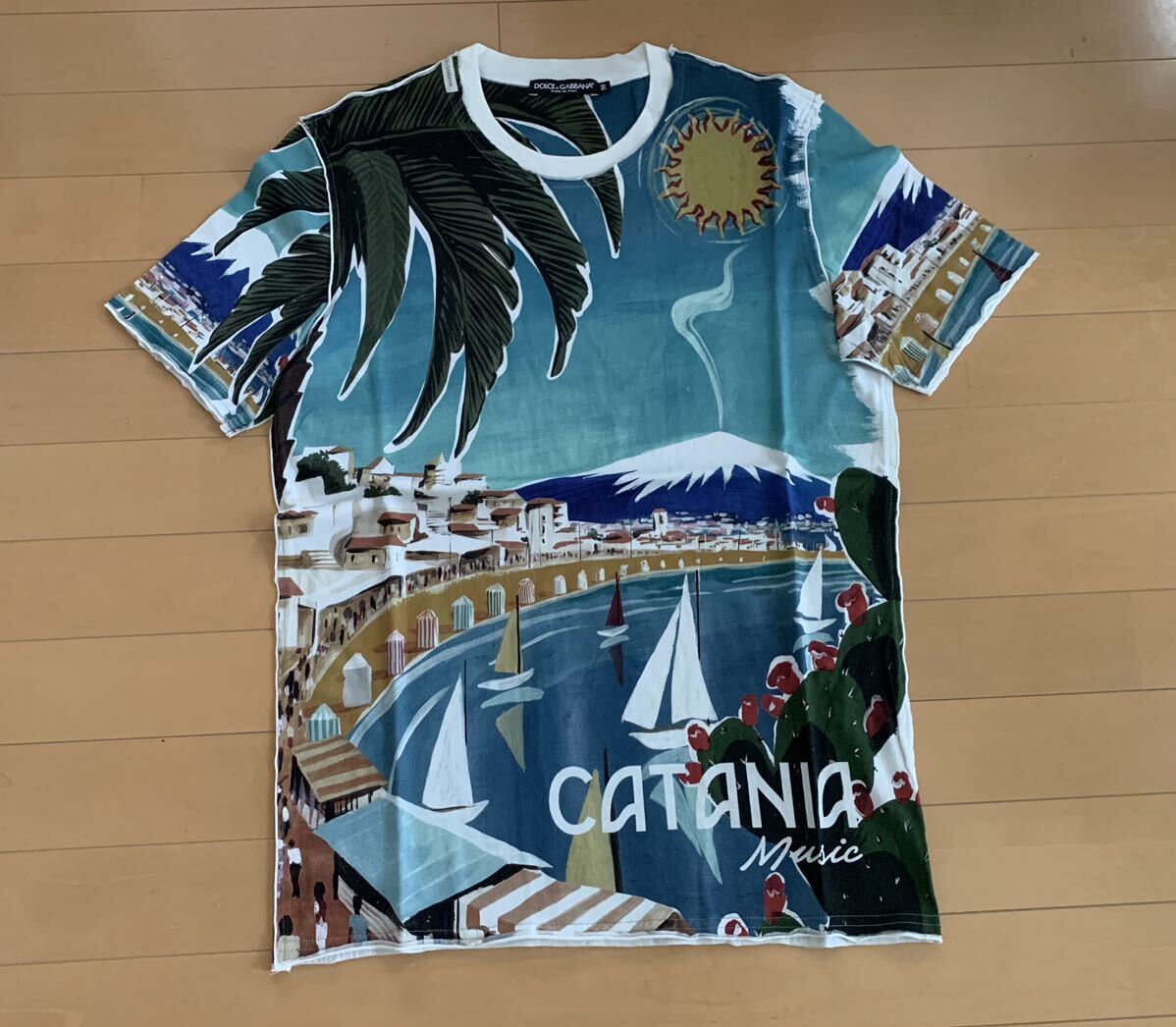 ドルチェ&ガッバーナ DG 総柄 DG CATANIA デザイン クルーネック Tシャツ 綺麗の画像1