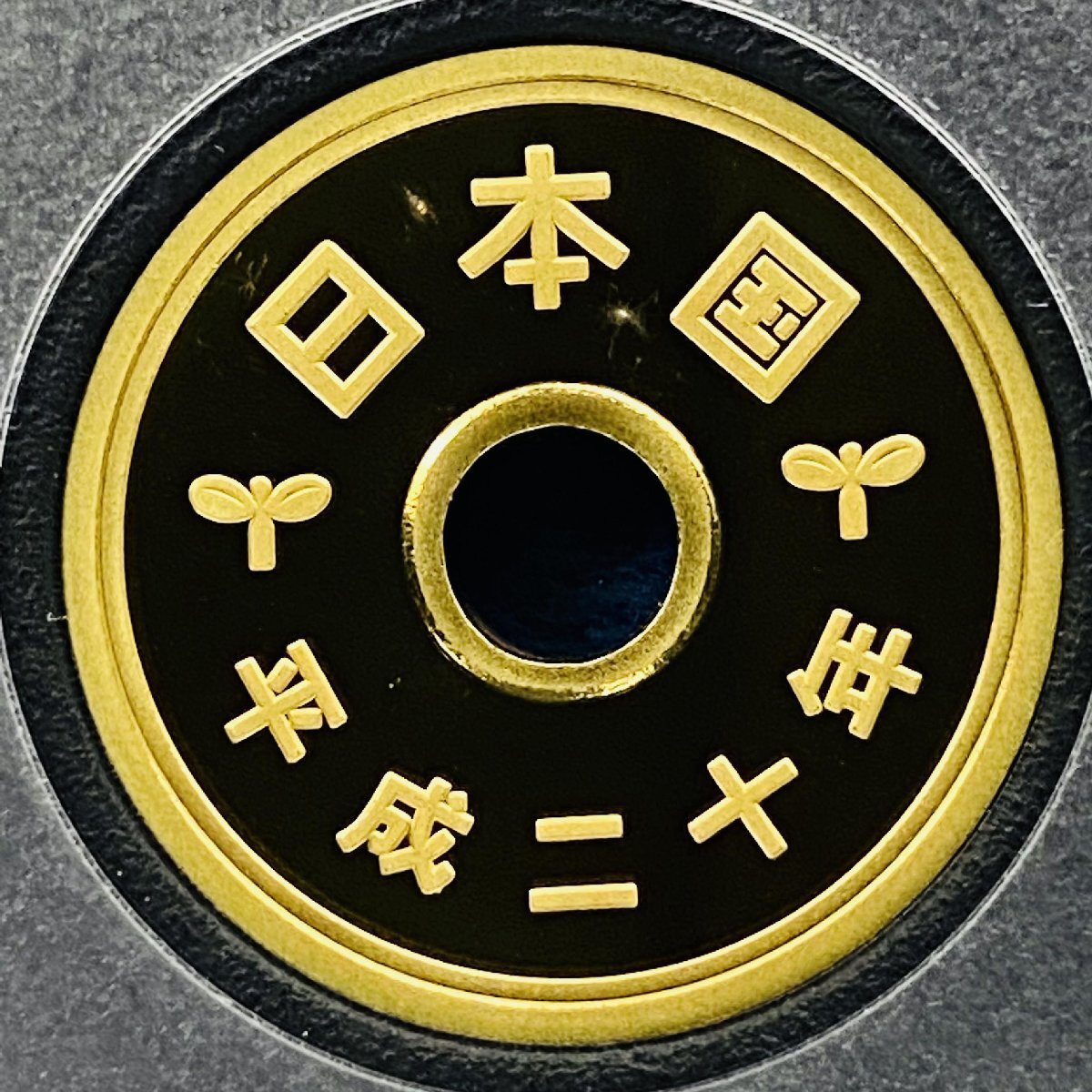 1円~ 2008年 平成20年 通常プルーフ貨幣セット 額面666円 年銘板有 全揃い 記念硬貨 記念貨幣 貨幣組合 日本円 限定貨幣 P2008の画像9