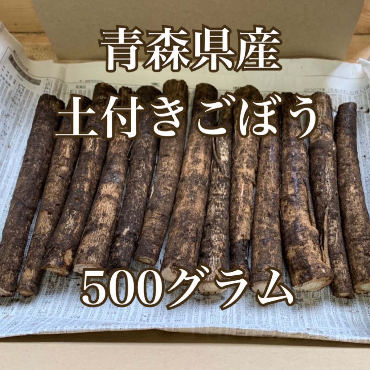 青森県産！土付きごぼう　500グラム