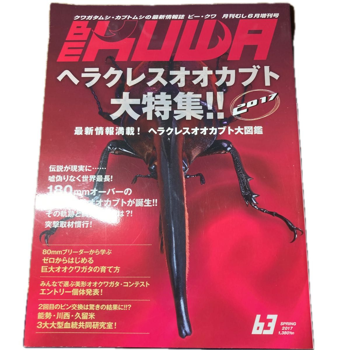 BEKUWA63号 ヘラクレスオオカブト大特集 180㎜オーバーのヘラクレス