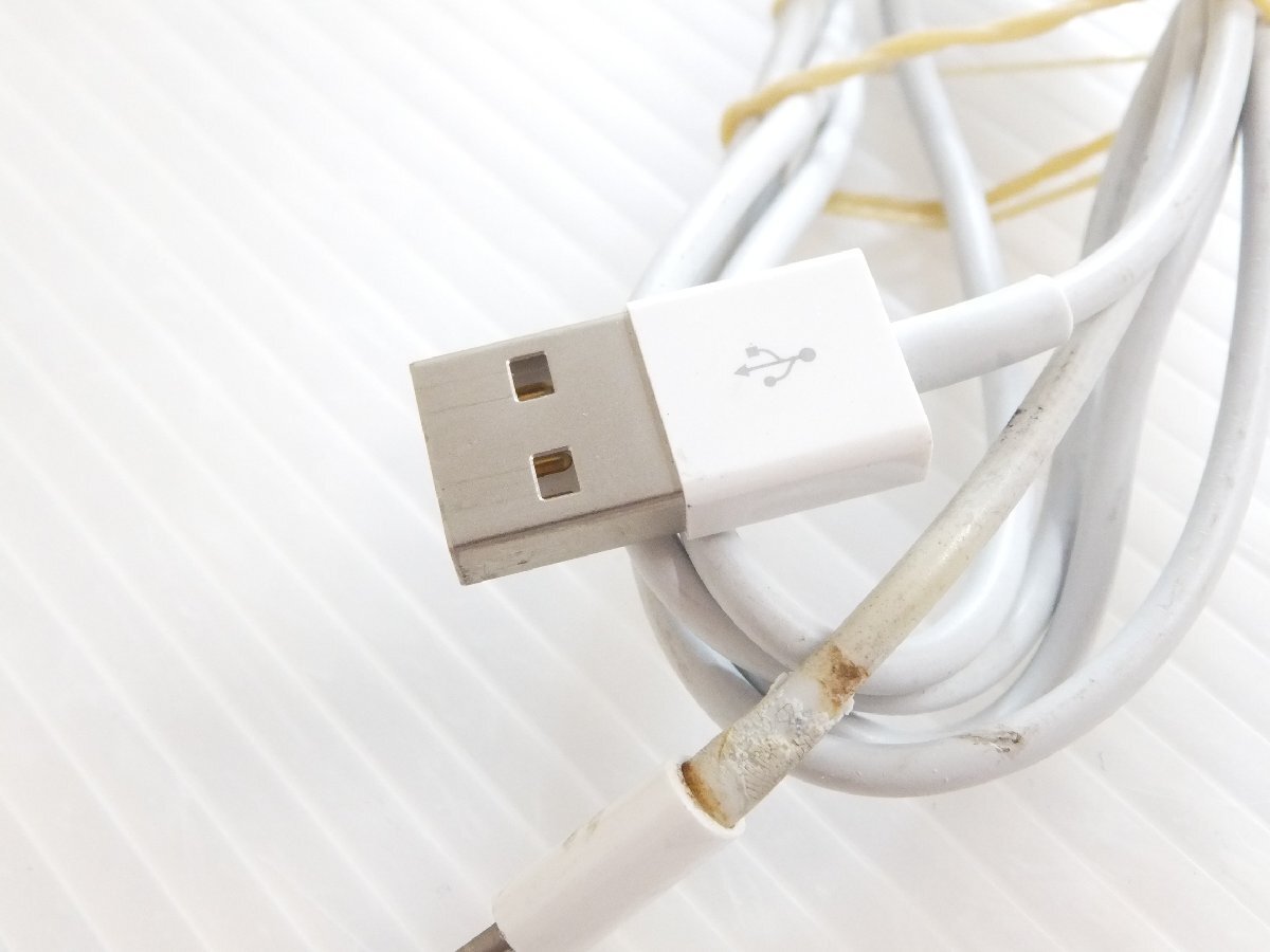 アップル純正ライトニングケーブル　1m　USB-C■アップル　Apple■ライトニング　Lightning■(10)_画像2